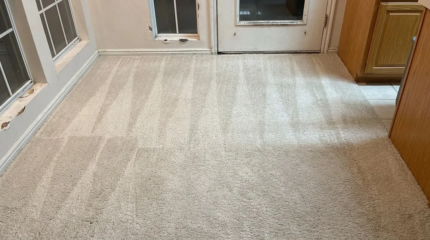 Same carpet restored to like-new condition after cleaning